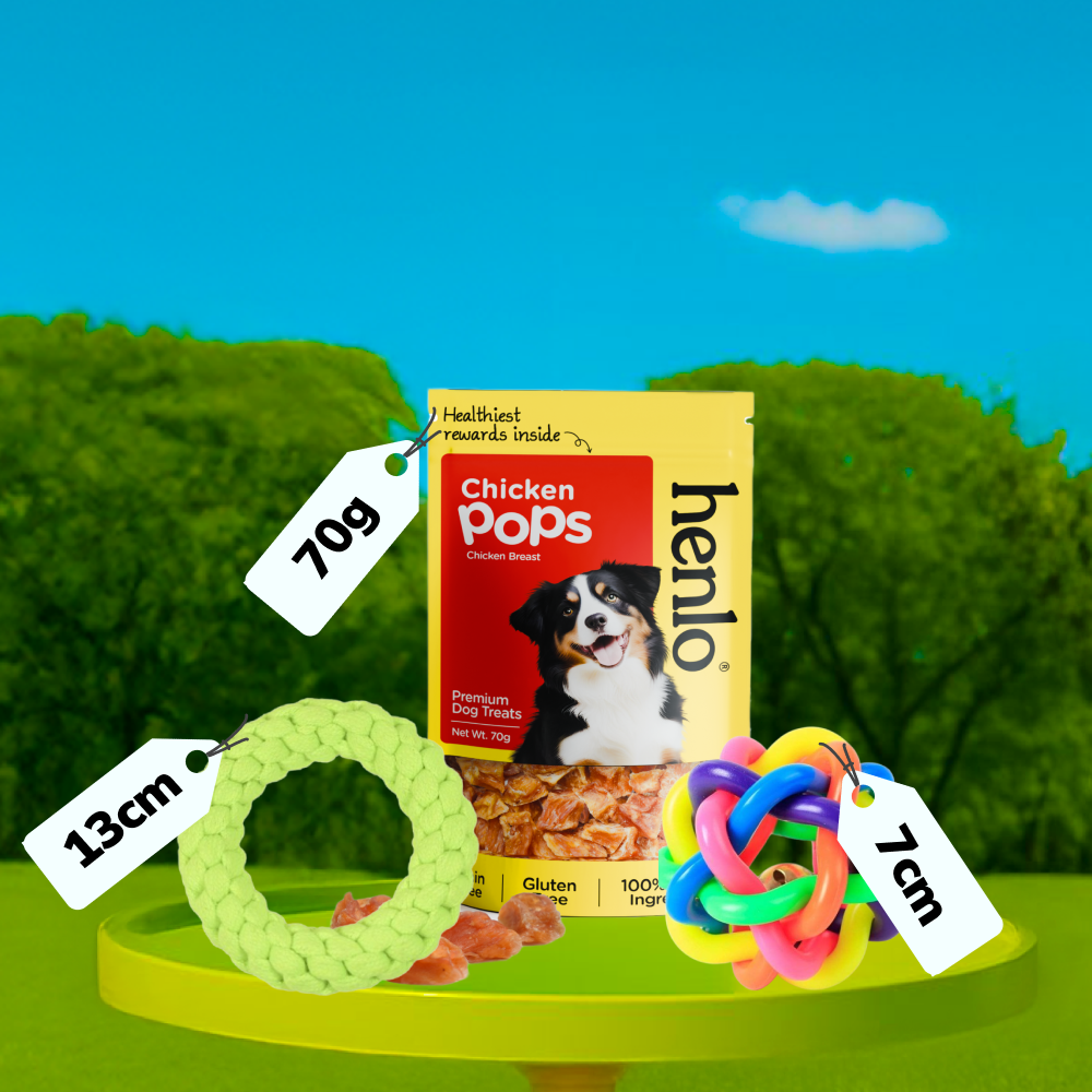 Skatrs Rope Ring Toy, Pet Vogue Bouncy Ball & Henlo Chicken Pops High Protein Treats Dog Combo
