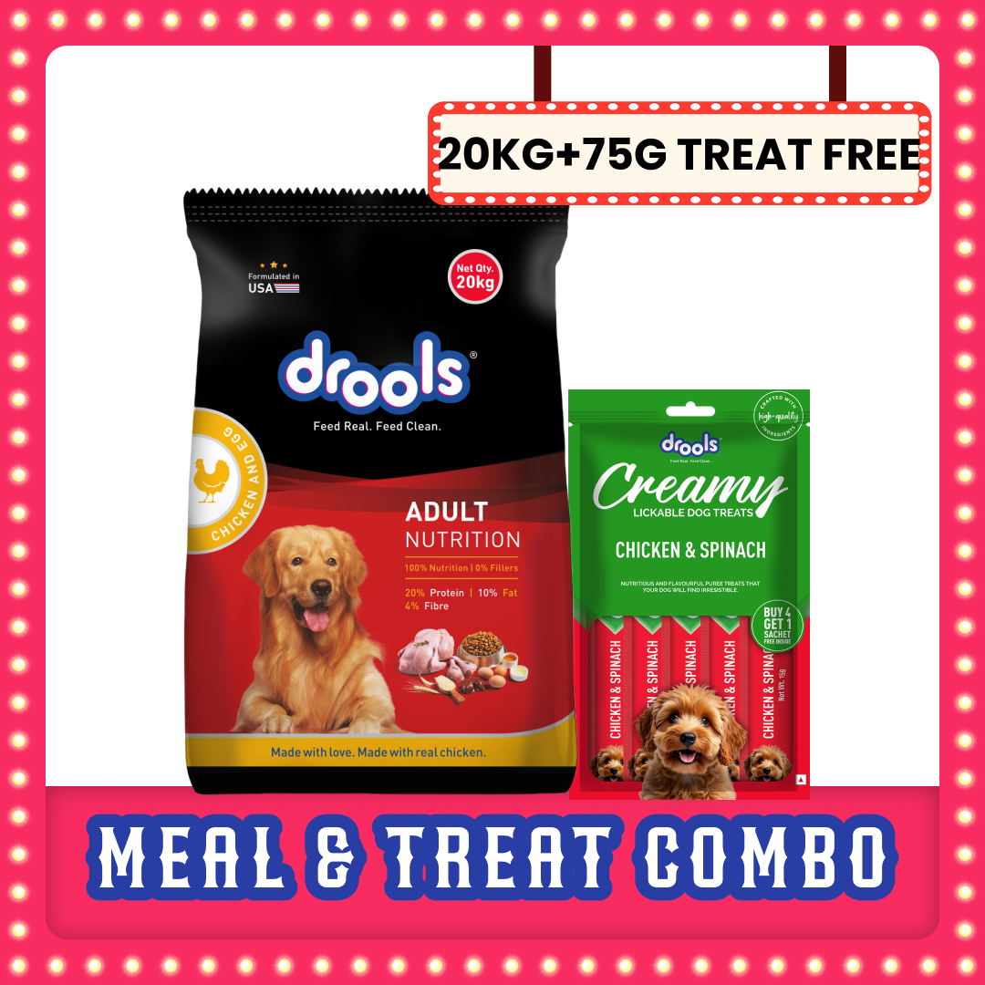 Drools Chicken and Egg Adult Dog Dry Food Dogs- Dry Food Drools 20kg+75g Treat Free