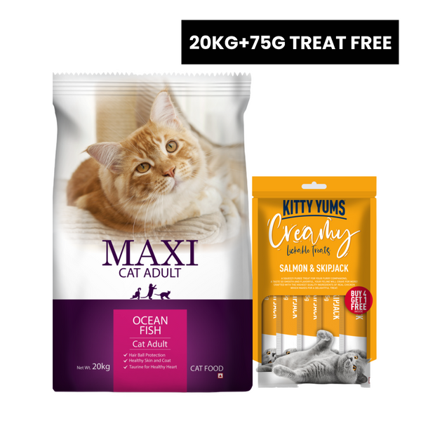 Maxi Adult Ocean Fish Adult Dry Cat Food