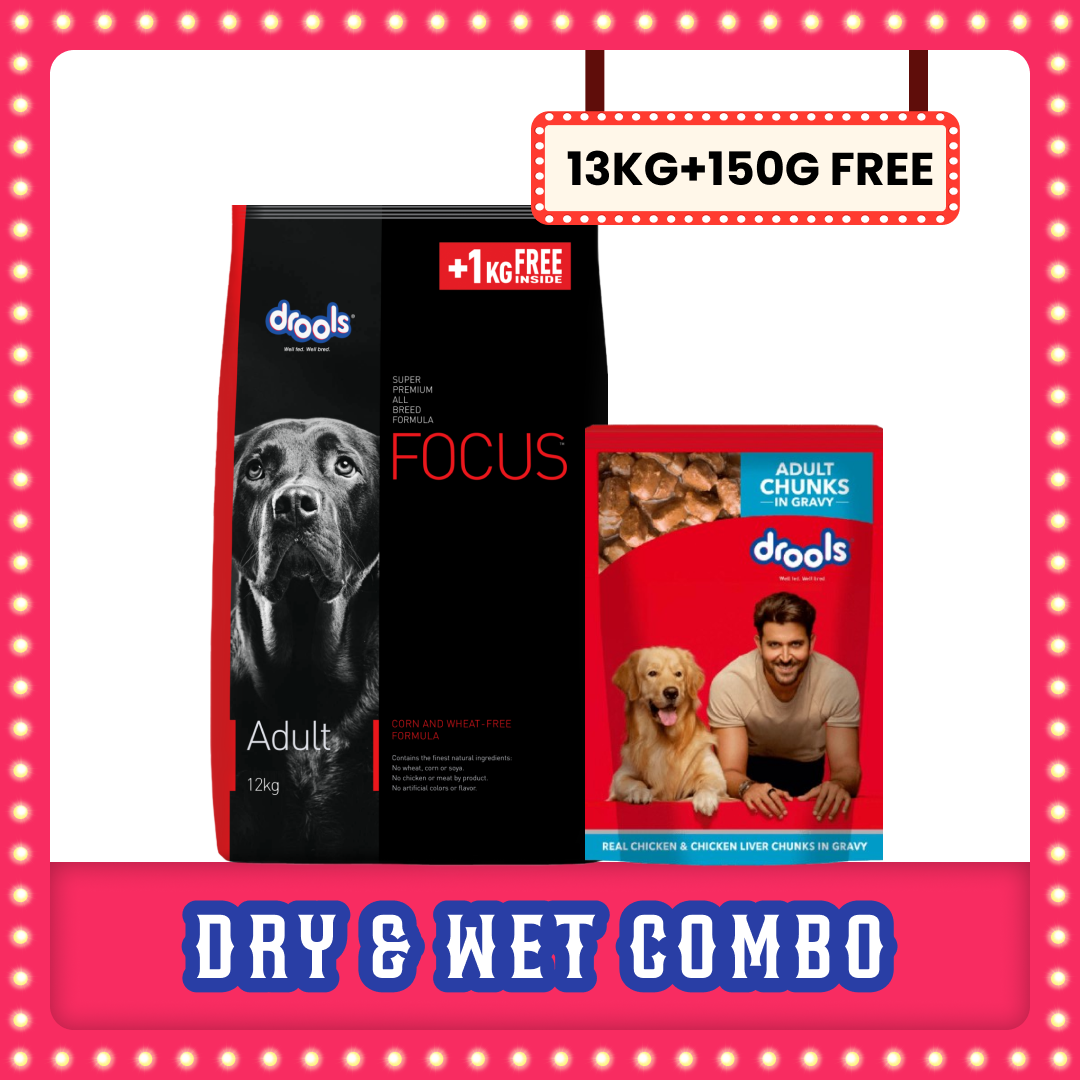 Drools Focus Super Premium Adult Dog Dry Food | Corn & Wheat Free Formula Dogs- Dry Food Drools Focus 13kg+150g Wet Food Free