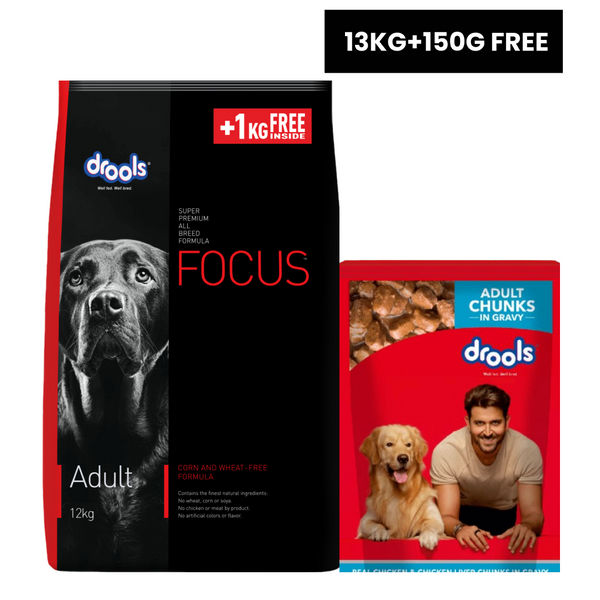 Drools Focus Super Premium Adult Dog Dry Food | Corn & Wheat Free Formula