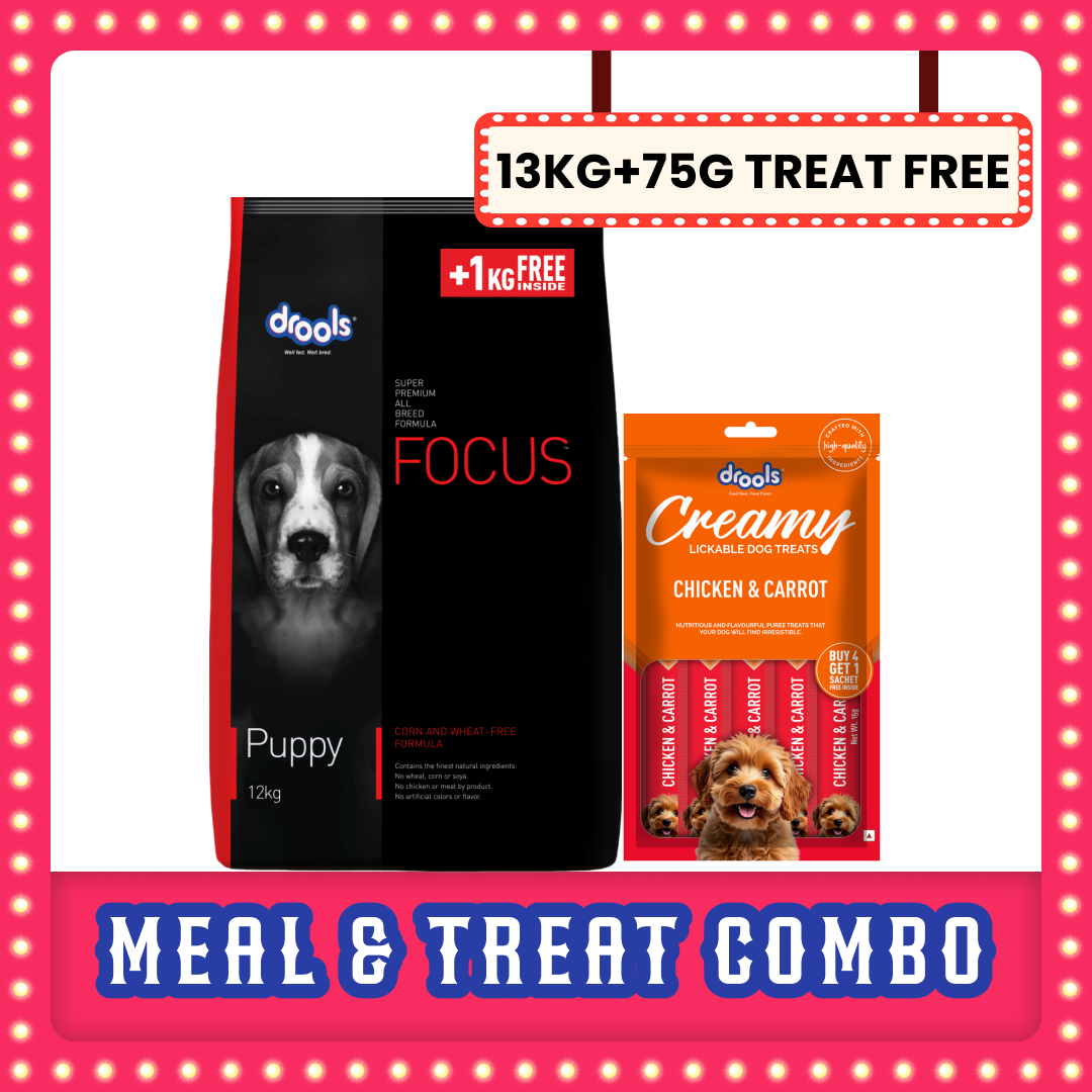 Drools Focus Super Premium Puppy Dog Dry Food | Corn & Wheat Free Formula Dogs- Dry Food Drools Focus 13kg+75g Treat Free
