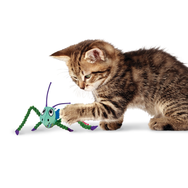 Kong Crackles Grasshopper Toy for Cats (Green)