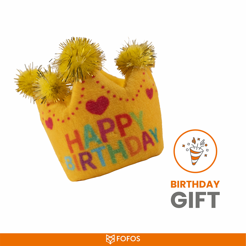 Barkbutler x Fofos Birthday Crown Catnip Toy for Cats Cats-Toys Barkbutler