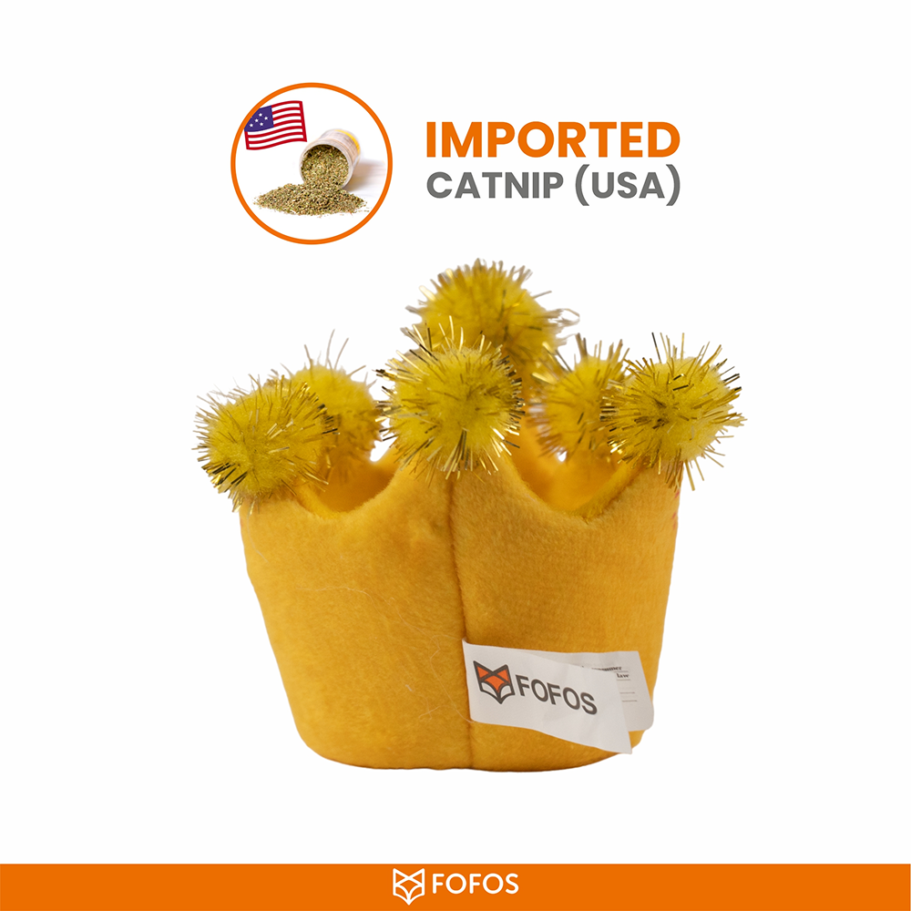 Barkbutler x Fofos Birthday Crown Catnip Toy for Cats Cats-Toys Barkbutler