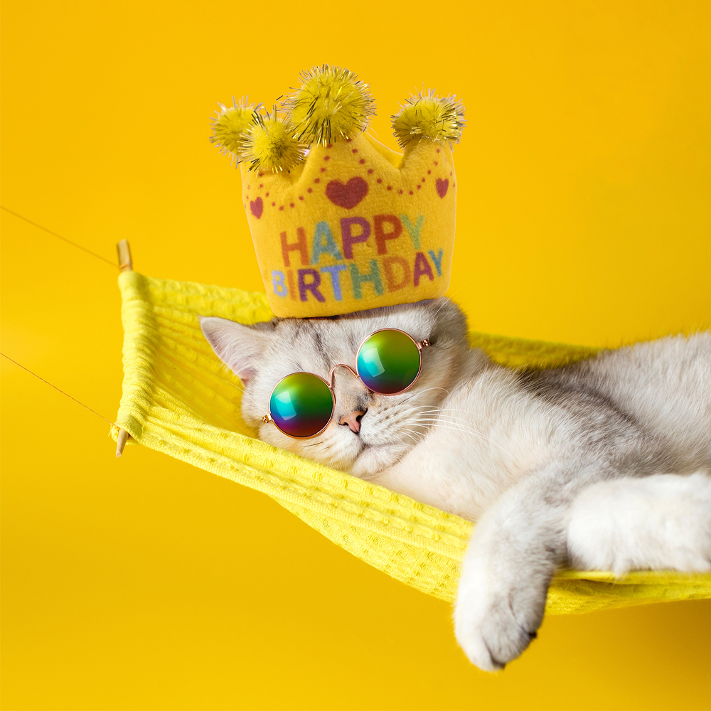 Barkbutler x Fofos Birthday Crown Catnip Toy for Cats Cats-Toys Barkbutler