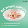 Schesir Tuna Chicken & Shrimp With Rice in Jelly Cat Wet Food Cats-Wet Food Schesir