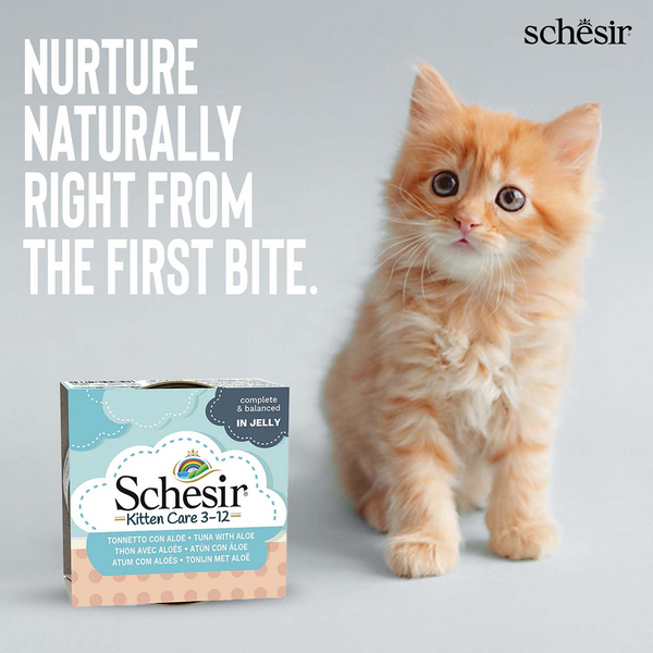 Schesir Tuna Whole Meat and Rice with Aloe Vera in Jelly Cat Wet Food
