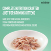 Schesir Tuna Whole Meat and Rice with Aloe Vera in Jelly Cat Wet Food Cats-Wet Food Schesir