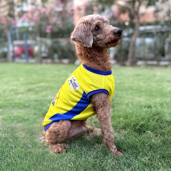 Pets Way Chennai Supaw Kings Team Jersey Vest for Dogs | Indian Pet League