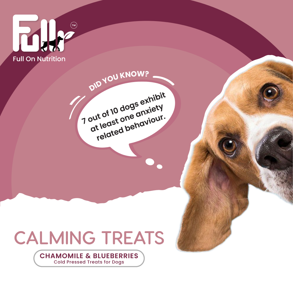 Fullr Anxiety Relief Calming Cold Pressed Dog Treats