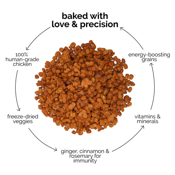 Henlo Chicken and Egg Baked Dry Food for Adult Dogs & Puppies and Chicken Pops Treats for Dogs Combo
