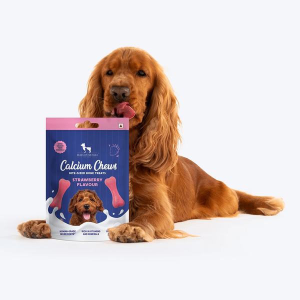 HUFT Gluten Free Bite Sized Calcium Strawberry Bone Chew Dog Treats