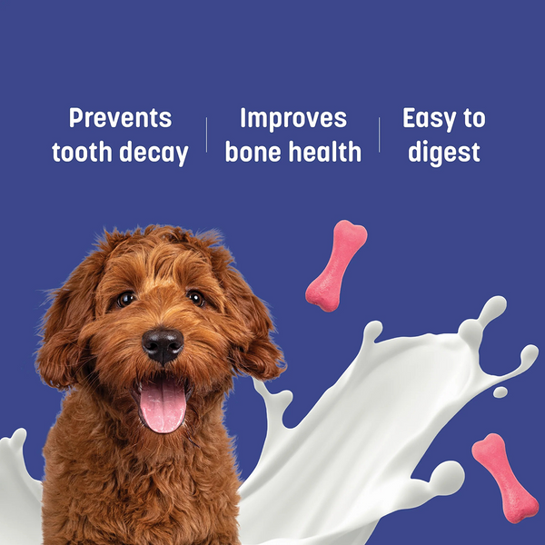 HUFT Gluten Free Bite Sized Calcium Strawberry Bone Chew Dog Treats