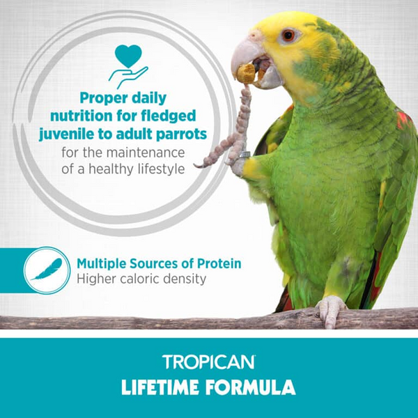 Hagen Tropican Lifetime Formula Bird Food