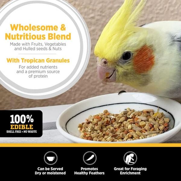 Hagen Tropican Tropimix Hari Bird Seed Mix for Lovebirds and Cockatiels