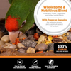 Hagen Tropimix Small Parrot Bird Food Birds Hagen Tropican