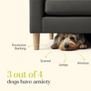 Hope Vegan Calming Supplement for Dogs Dogs-Health & Wellness Hope