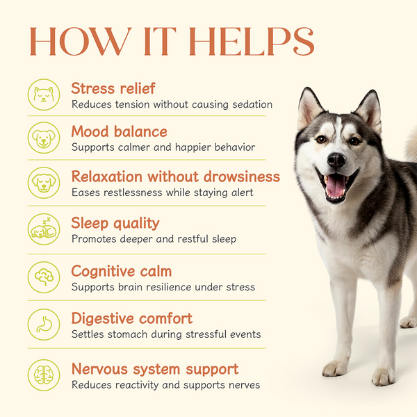 Hope Vegan Calming Supplement for Dogs