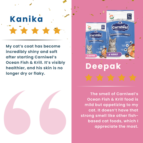 Carniwel Ocean Fish and Krill For Kitten Cat Dry Food