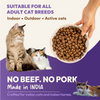 DatGud Chicken & Wild Fish Adult Cat Dry Food (Buy 1 Get 1 Free) Cats- Dry food DatGud