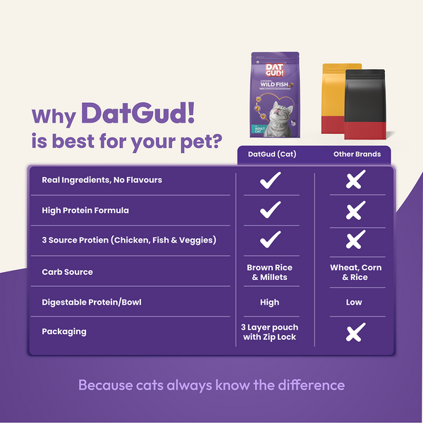DatGud Chicken & Wild Fish Adult Cat Dry Food