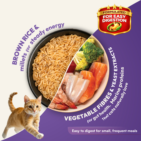 DatGud Chicken & Wild Fish Adult Cat Dry Food