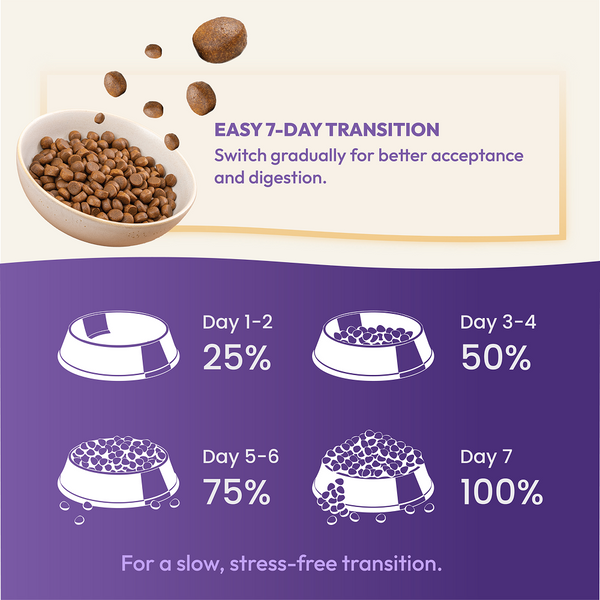 DatGud Chicken & Wild Fish Adult Cat Dry Food