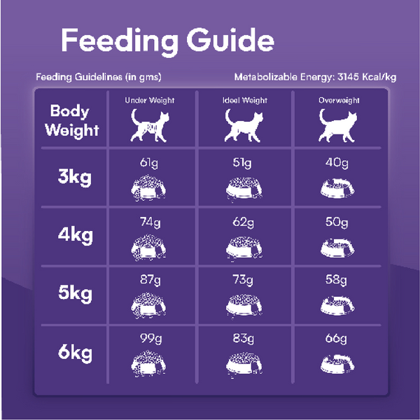 DatGud Chicken & Wild Fish Adult Cat Dry Food