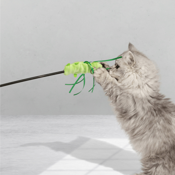 Barkbutler x Fofos Wand Moving Caterpillar Teaser Toy for Cats