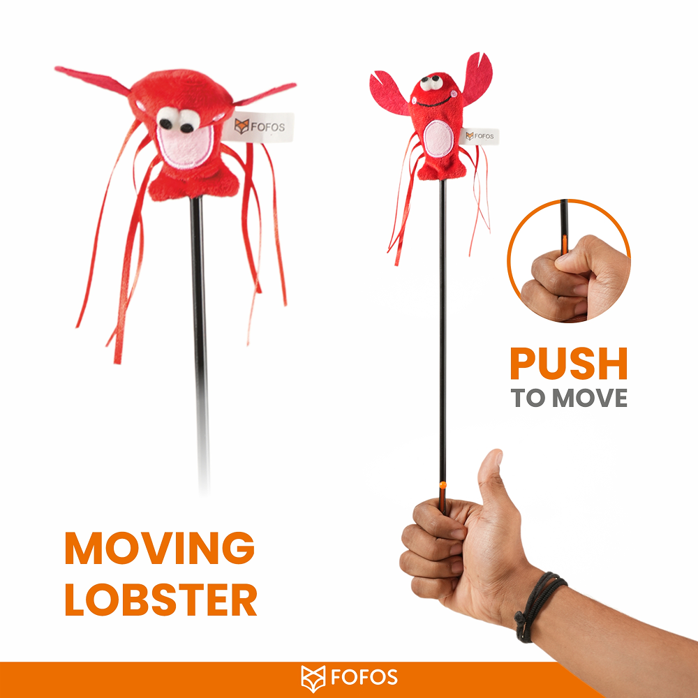 Barkbutler x Fofos Wand Moving Lobster Teaser Toy for Cats Cats-Toys Barkbutler