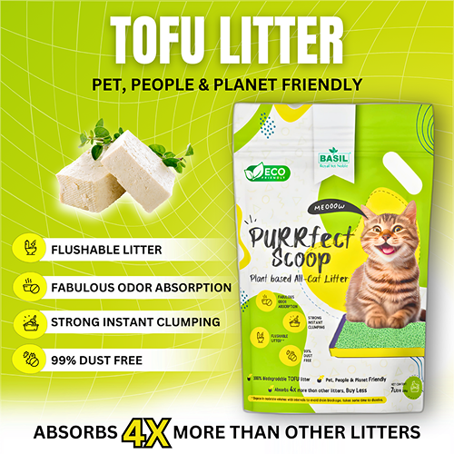 Basil Purrfect Green Tea Scented Clumping Cat Litter