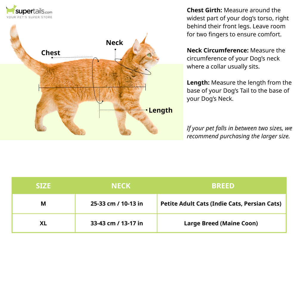 Aramesh Lemon Blossom Collar for Cats (Yellow, White & Green) Dogs-Collar, Leashes, harnesses Aramesh Dropship