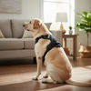 Skatrs Fully Padded Comfort Midnight Reflective Harness for Dogs & Cats (Black) Both-Collar, Leashes, harnesses Skatrs