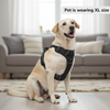 Skatrs Fully Padded Comfort Midnight Reflective Harness for Dogs & Cats (Black) Both-Collar, Leashes, harnesses Skatrs