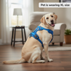 Skatrs Fully Padded Comfort Electric Reflective Harness for Dogs & Cats (Blue) Both-Collar, Leashes, harnesses Skatrs