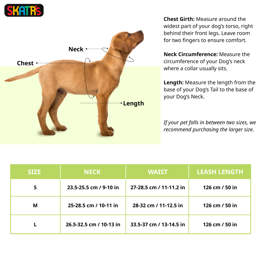 Skatrs Everyday Ready Harness & Leash Set for Small Breed Dogs & Cats (Green) Both-Collar, Leashes, harnesses Skatrs