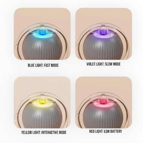 Talking Dog Club Automatic Rotating Interactive LED Ball for Cats, Kittens and Puppies (Green) Cats-Toys Talking Dog Club Dropship
