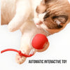 Talking Dog Club Automatic Rotating Interactive LED Ball for Cats, Kittens and Puppies (Green) Cats-Toys Talking Dog Club Dropship