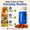 Drools Absolute Vitamin Supplement Tablets for Dogs Dogs-Health & Wellness Drools