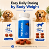 Drools Absolute Vitamin Supplement Tablets for Dogs Dogs-Health & Wellness Drools