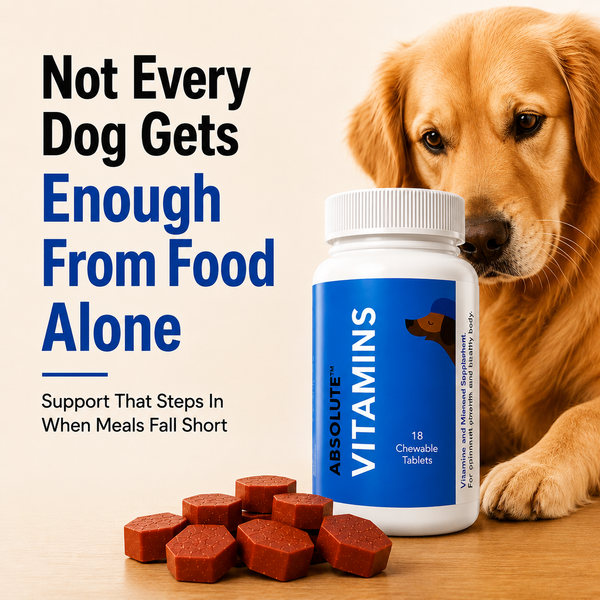 Drools Absolute Vitamin Supplement Tablets for Dogs