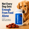 Drools Absolute Vitamin Supplement Tablets for Dogs Dogs-Health & Wellness Drools