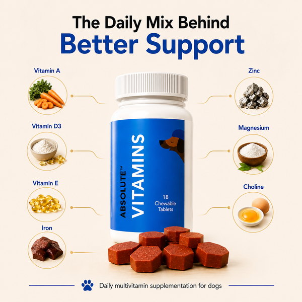 Drools Absolute Vitamin Supplement Tablets for Dogs