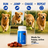 Drools Absolute Vitamin Supplement Tablets for Dogs Dogs-Health & Wellness Drools