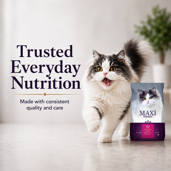 Maxi Persian Adult Cat Dry Food