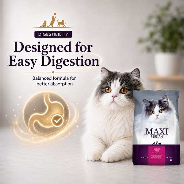 Maxi Persian Adult Cat Dry Food