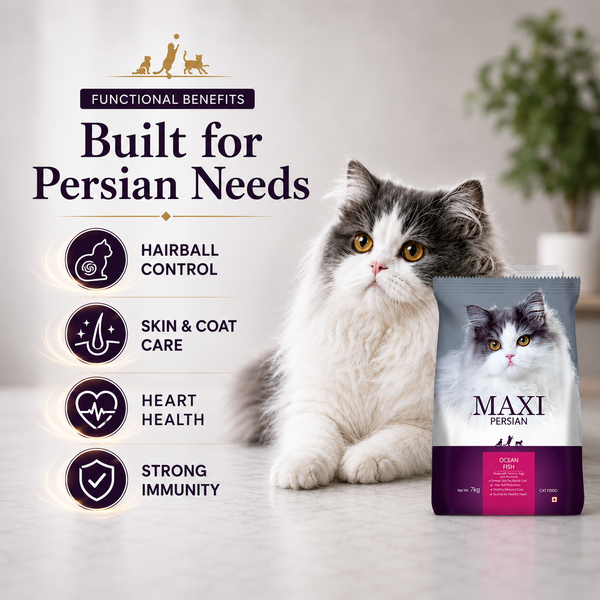Maxi Persian Adult Cat Dry Food