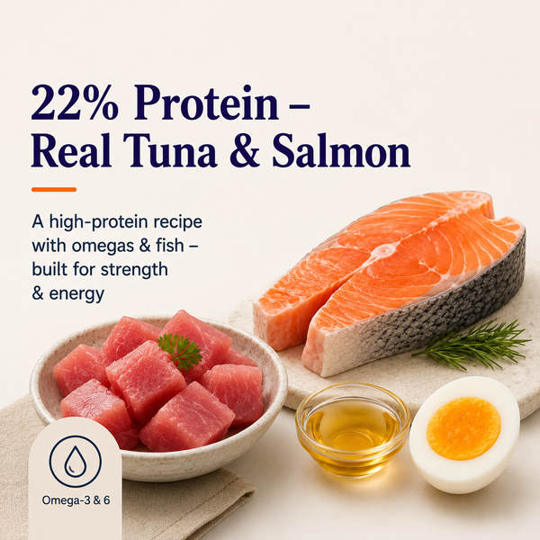 Maxi Adult Tuna & Salmon Adult Dry Cat Food
