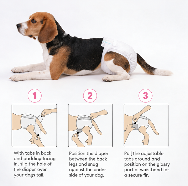 Skatrs Diapers for Female Dogs